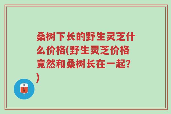 桑树下长的野生灵芝什么价格(野生灵芝价格竟然和桑树长在一起？)-第1张图片-超越