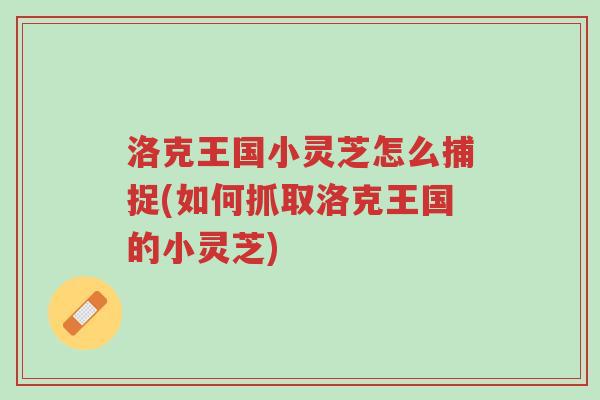 洛克王国小灵芝怎么捕捉(如何抓取洛克王国的小灵芝)-第1张图片-超越 洛克王国小灵芝怎么捕捉(如何抓取洛克王国的小灵芝)-第1张图片-超越