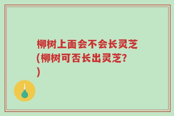 柳树上面会不会长灵芝(柳树可否长出灵芝?)-第1张图片-超越 柳树上面会不会长灵芝(柳树可否长出灵芝?)-第1张图片-超越