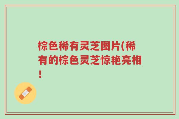 棕色稀有灵芝图片(稀有的棕色灵芝惊艳亮相！-第1张图片-超越