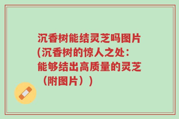 沉香树能结灵芝吗图片(沉香树的惊人之处:能够结出高质量的灵芝(附图片))-第1张图片-超越 沉香树能结灵芝吗图片(沉香树的惊人之处:能够结出高质量的灵芝(附图片))-第1张图片-超越