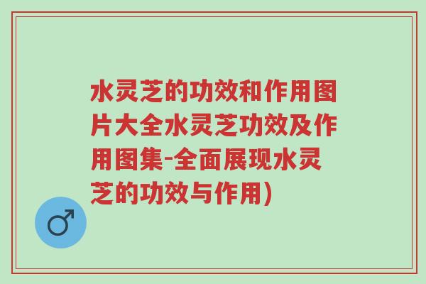 水灵芝的功效和作用图片大全水灵芝功效及作用图集-全面展现水灵芝的功效与作用)-第1张图片-超越 水灵芝的功效和作用图片大全水灵芝功效及作用图集-全面展现水灵芝的功效与作用)-第1张图片-超越