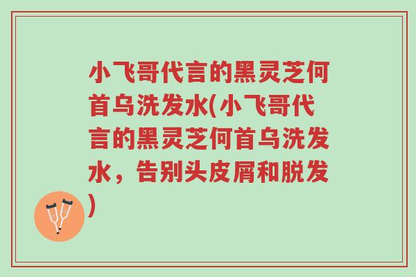 小飞哥代言的黑灵芝何首乌洗发水(小飞哥代言的黑灵芝何首乌洗发水,告别头皮屑和脱发)-第1张图片-超越 小飞哥代言的黑灵芝何首乌洗发水(小飞哥代言的黑灵芝何首乌洗发水,告别头皮屑和脱发)-第1张图片-超越