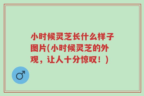 小时候灵芝长什么样子图片(小时候灵芝的外观，让人十分惊叹！)-第1张图片-超越