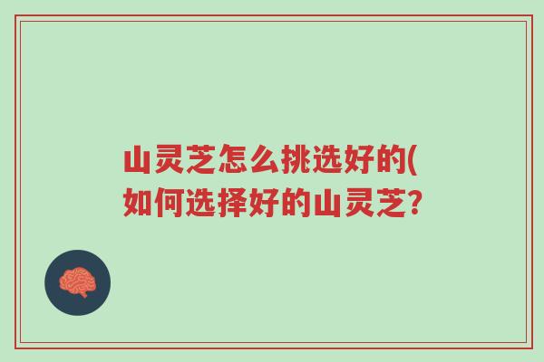 山灵芝怎么挑选好的(如何选择好的山灵芝?-第1张图片-超越 山灵芝怎么挑选好的(如何选择好的山灵芝?-第1张图片-超越