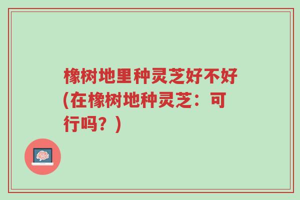 橡树地里种灵芝好不好(在橡树地种灵芝：可行吗？)-第1张图片-超越
