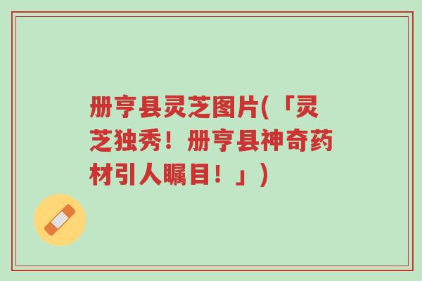 册亨县灵芝图片(「灵芝独秀!册亨县神奇药材引人瞩目!」)-第1张图片-超越 册亨县灵芝图片(「灵芝独秀!册亨县神奇药材引人瞩目!」)-第1张图片-超越
