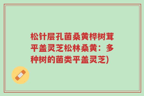 松针层孔菌桑黄桦树茸平盖灵芝松林桑黄:多种树的菌类平盖灵芝)-第1张图片-超越 松针层孔菌桑黄桦树茸平盖灵芝松林桑黄:多种树的菌类平盖灵芝)-第1张图片-超越