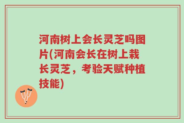 河南树上会长灵芝吗图片(河南会长在树上栽长灵芝,考验天赋种植技能)-第1张图片-超越 河南树上会长灵芝吗图片(河南会长在树上栽长灵芝,考验天赋种植技能)-第1张图片-超越