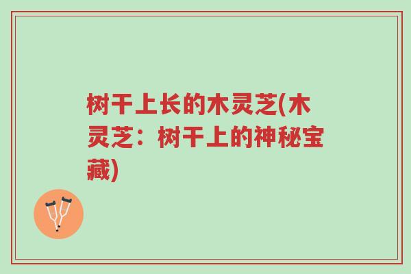 树干上长的木灵芝(木灵芝:树干上的神秘宝藏)-第1张图片-超越 树干上长的木灵芝(木灵芝:树干上的神秘宝藏)-第1张图片-超越