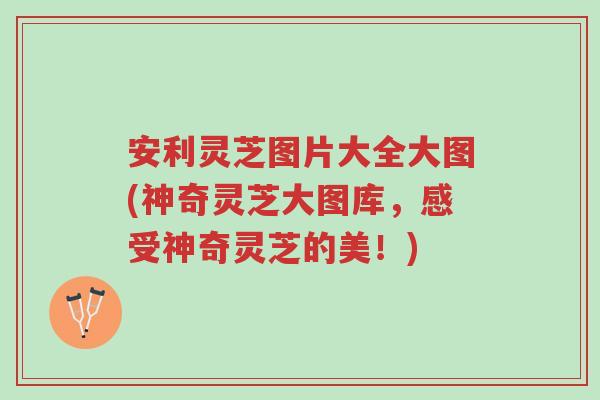 安利灵芝图片大全大图(神奇灵芝大图库,感受神奇灵芝的美!)-第1张图片-超越 安利灵芝图片大全大图(神奇灵芝大图库,感受神奇灵芝的美!)-第1张图片-超越