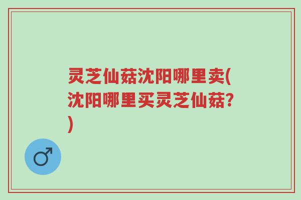 灵芝仙菇沈阳哪里卖(沈阳哪里买灵芝仙菇?)-第1张图片-超越 灵芝仙菇沈阳哪里卖(沈阳哪里买灵芝仙菇?)-第1张图片-超越