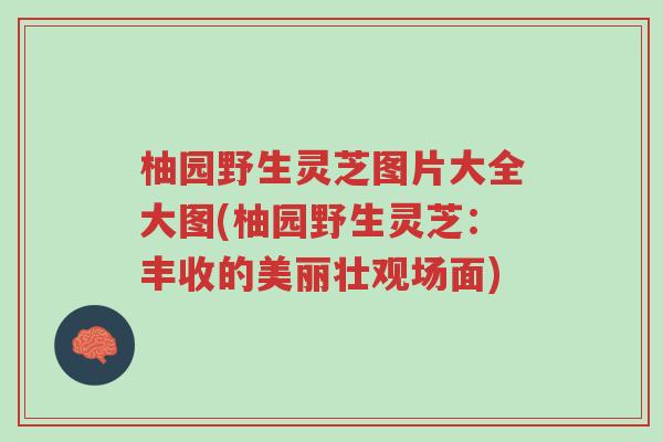 柚园野生灵芝图片大全大图(柚园野生灵芝:丰收的美丽壮观场面)-第1张图片-超越 柚园野生灵芝图片大全大图(柚园野生灵芝:丰收的美丽壮观场面)-第1张图片-超越