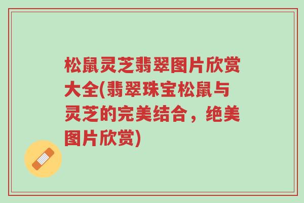 松鼠灵芝翡翠图片欣赏大全(翡翠珠宝松鼠与灵芝的完美结合,绝美图片欣赏)-第1张图片-超越 松鼠灵芝翡翠图片欣赏大全(翡翠珠宝松鼠与灵芝的完美结合,绝美图片欣赏)-第1张图片-超越