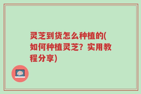 灵芝到货怎么种植的(如何种植灵芝?实用教程分享)-第1张图片-超越 灵芝到货怎么种植的(如何种植灵芝?实用教程分享)-第1张图片-超越