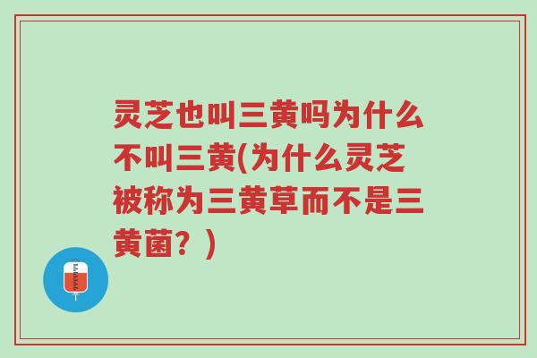灵芝也叫三黄吗为什么不叫三黄(为什么灵芝被称为三黄草而不是三黄菌?)-第1张图片-超越 灵芝也叫三黄吗为什么不叫三黄(为什么灵芝被称为三黄草而不是三黄菌?)-第1张图片-超越