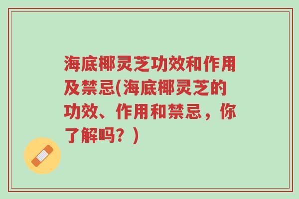 海底椰灵芝功效和作用及禁忌(海底椰灵芝的功效、作用和禁忌,你了解吗?)-第1张图片-超越 海底椰灵芝功效和作用及禁忌(海底椰灵芝的功效、作用和禁忌,你了解吗?)-第1张图片-超越