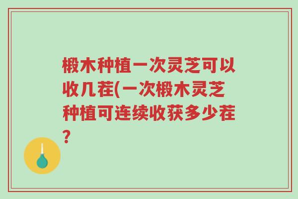椴木种植一次灵芝可以收几茬(一次椴木灵芝种植可连续收获多少茬?-第1张图片-超越 椴木种植一次灵芝可以收几茬(一次椴木灵芝种植可连续收获多少茬?-第1张图片-超越
