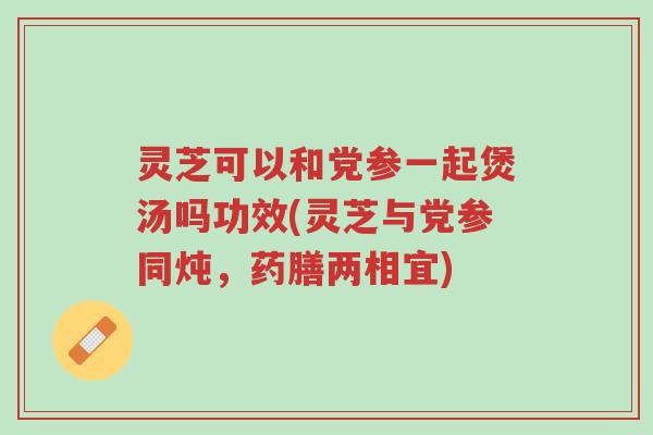 灵芝可以和党参一起煲汤吗功效(灵芝与党参同炖，药膳两相宜)-第1张图片-超越