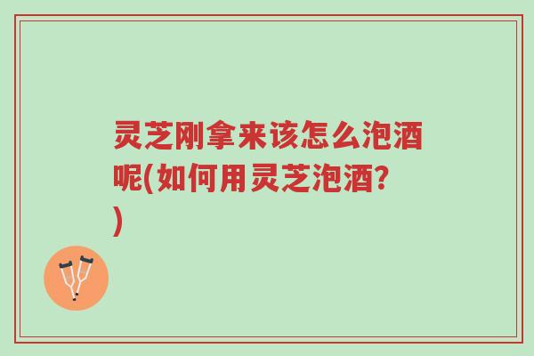 灵芝刚拿来该怎么泡酒呢(如何用灵芝泡酒?)-第1张图片-超越 灵芝刚拿来该怎么泡酒呢(如何用灵芝泡酒?)-第1张图片-超越