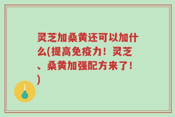 灵芝加桑黄还可以加什么(提高免疫力！灵芝、桑黄加强配方来了！)-第1张图片-超越