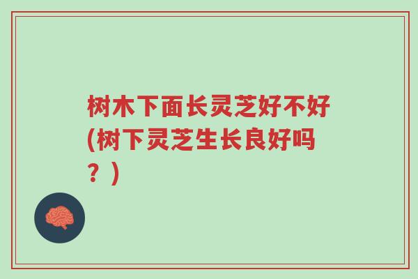 树木下面长灵芝好不好(树下灵芝生长良好吗?)-第1张图片-超越 树木下面长灵芝好不好(树下灵芝生长良好吗?)-第1张图片-超越