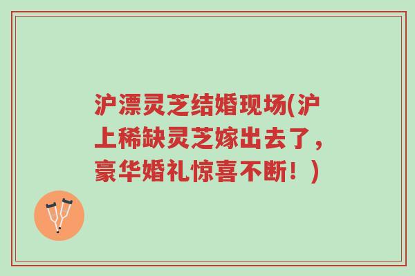 沪漂灵芝结婚现场(沪上稀缺灵芝嫁出去了,豪华婚礼惊喜不断!)-第1张图片-超越 沪漂灵芝结婚现场(沪上稀缺灵芝嫁出去了,豪华婚礼惊喜不断!)-第1张图片-超越