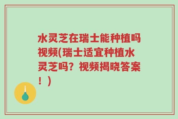 水灵芝在瑞士能种植吗视频(瑞士适宜种植水灵芝吗？视频揭晓答案！)-第1张图片-超越
