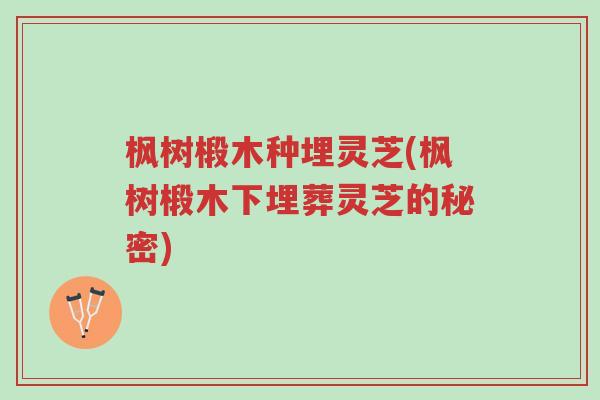 枫树椴木种埋灵芝(枫树椴木下埋葬灵芝的秘密)-第1张图片-超越 枫树椴木种埋灵芝(枫树椴木下埋葬灵芝的秘密)-第1张图片-超越
