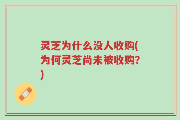 灵芝为什么没人收购(为何灵芝尚未被收购?)-第1张图片-超越 灵芝为什么没人收购(为何灵芝尚未被收购?)-第1张图片-超越