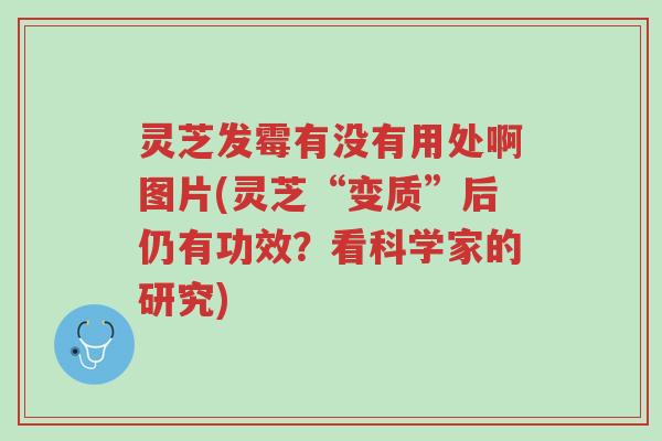 灵芝发霉有没有用处啊图片(灵芝“变质”后仍有功效?看科学家的研究)-第1张图片-超越 灵芝发霉有没有用处啊图片(灵芝“变质”后仍有功效?看科学家的研究)-第1张图片-超越
