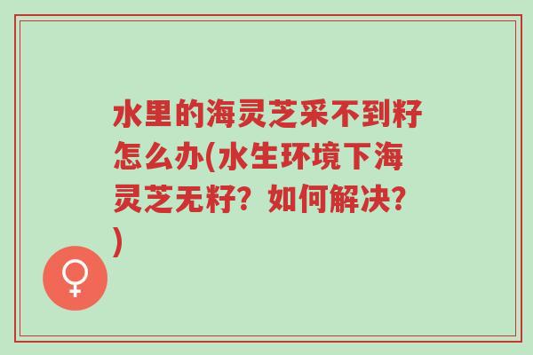 水里的海灵芝采不到籽怎么办(水生环境下海灵芝无籽?如何解决?)-第1张图片-超越 水里的海灵芝采不到籽怎么办(水生环境下海灵芝无籽?如何解决?)-第1张图片-超越