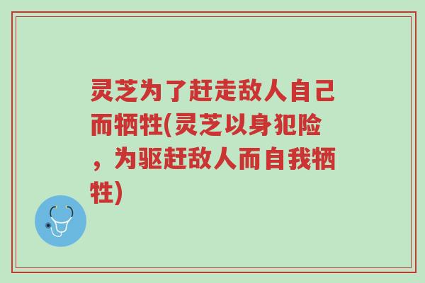 灵芝为了赶走敌人自己而牺牲(灵芝以身犯险,为驱赶敌人而自我牺牲)-第1张图片-超越 灵芝为了赶走敌人自己而牺牲(灵芝以身犯险,为驱赶敌人而自我牺牲)-第1张图片-超越