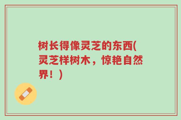 树长得像灵芝的东西(灵芝样树木,惊艳自然界!)-第1张图片-超越 树长得像灵芝的东西(灵芝样树木,惊艳自然界!)-第1张图片-超越