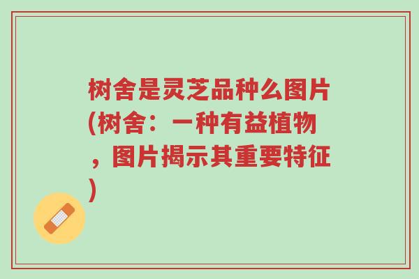 树舍是灵芝品种么图片(树舍:一种有益植物,图片揭示其重要特征)-第1张图片-超越 树舍是灵芝品种么图片(树舍:一种有益植物,图片揭示其重要特征)-第1张图片-超越