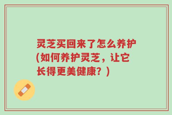 灵芝买回来了怎么养护(如何养护灵芝,让它长得更美健康?)-第1张图片-超越 灵芝买回来了怎么养护(如何养护灵芝,让它长得更美健康?)-第1张图片-超越
