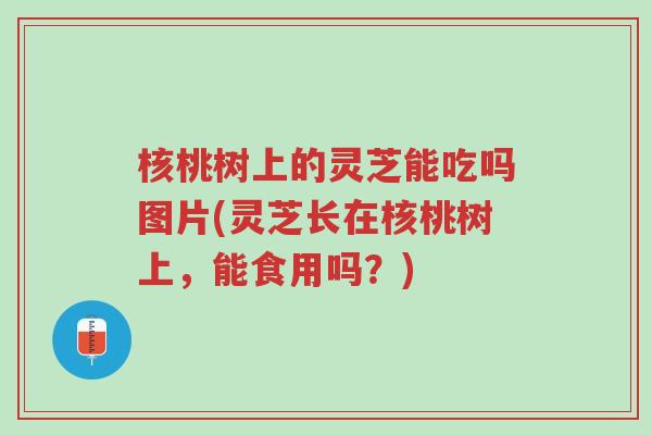 核桃树上的灵芝能吃吗图片(灵芝长在核桃树上，能食用吗？)-第1张图片-超越