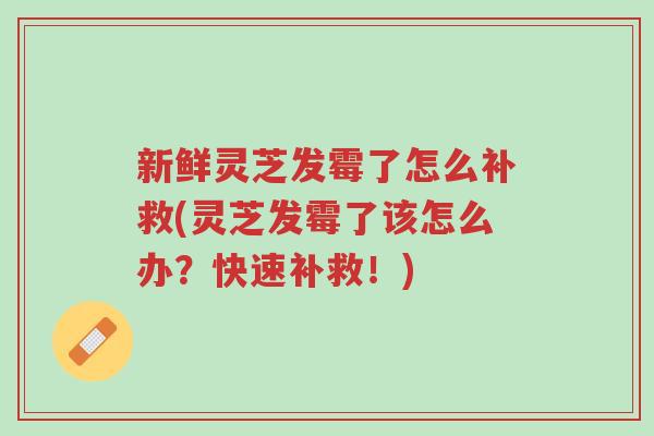 新鲜灵芝发霉了怎么补救(灵芝发霉了该怎么办?快速补救!)-第1张图片-超越 新鲜灵芝发霉了怎么补救(灵芝发霉了该怎么办?快速补救!)-第1张图片-超越