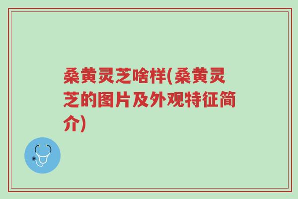 桑黄灵芝啥样(桑黄灵芝的图片及外观特征简介)-第1张图片-超越 桑黄灵芝啥样(桑黄灵芝的图片及外观特征简介)-第1张图片-超越