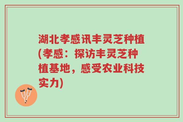 湖北孝感讯丰灵芝种植(孝感:探访丰灵芝种植基地,感受农业科技实力)-第1张图片-超越 湖北孝感讯丰灵芝种植(孝感:探访丰灵芝种植基地,感受农业科技实力)-第1张图片-超越