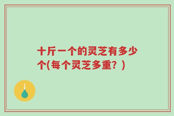 十斤一个的灵芝有多少个(每个灵芝多重?)-第1张图片-超越 十斤一个的灵芝有多少个(每个灵芝多重?)-第1张图片-超越