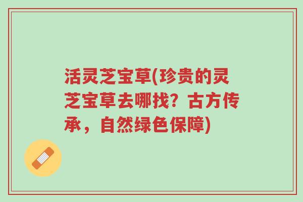 活灵芝宝草(珍贵的灵芝宝草去哪找?古方传承,自然绿色保障)-第1张图片-超越 活灵芝宝草(珍贵的灵芝宝草去哪找?古方传承,自然绿色保障)-第1张图片-超越