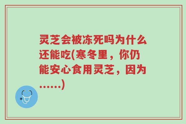 灵芝会被冻死吗为什么还能吃(寒冬里，你仍能安心食用灵芝，因为......)-第1张图片-超越