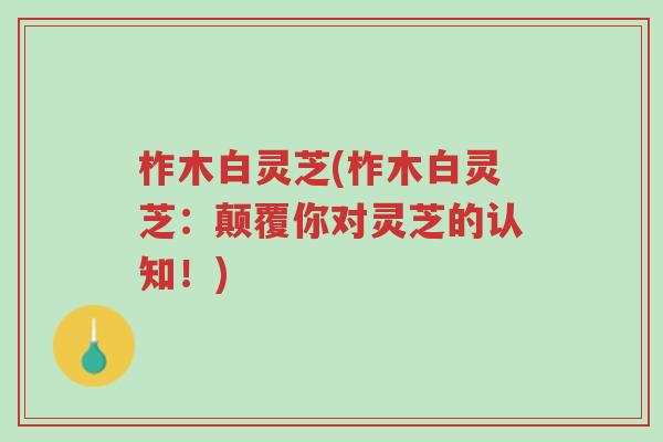 柞木白灵芝(柞木白灵芝：颠覆你对灵芝的认知！)-第1张图片-超越