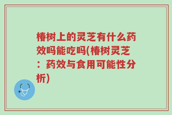 椿树上的灵芝有什么药效吗能吃吗(椿树灵芝：药效与食用可能性分析)-第1张图片-超越