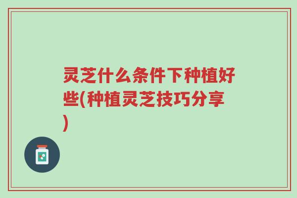灵芝什么条件下种植好些(种植灵芝技巧分享)-第1张图片-超越 灵芝什么条件下种植好些(种植灵芝技巧分享)-第1张图片-超越