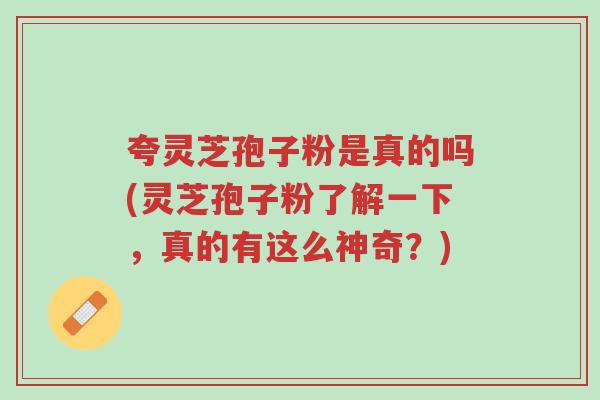 夸灵芝孢子粉是真的吗(灵芝孢子粉了解一下,真的有这么神奇?)-第1张图片-超越 夸灵芝孢子粉是真的吗(灵芝孢子粉了解一下,真的有这么神奇?)-第1张图片-超越