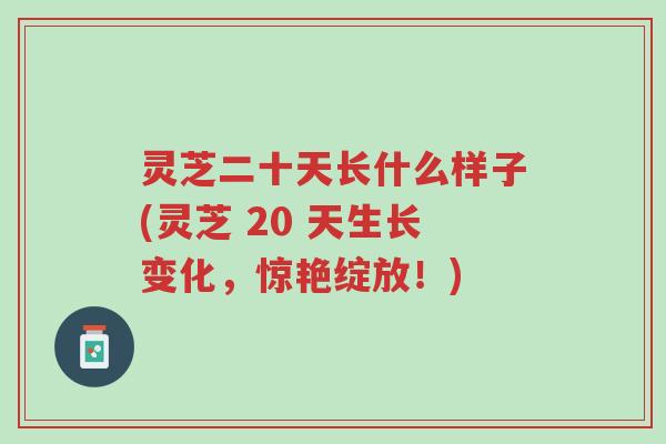 灵芝二十天长什么样子(灵芝 20 天生长变化,惊艳绽放!)-第1张图片-超越 灵芝二十天长什么样子(灵芝 20 天生长变化,惊艳绽放!)-第1张图片-超越