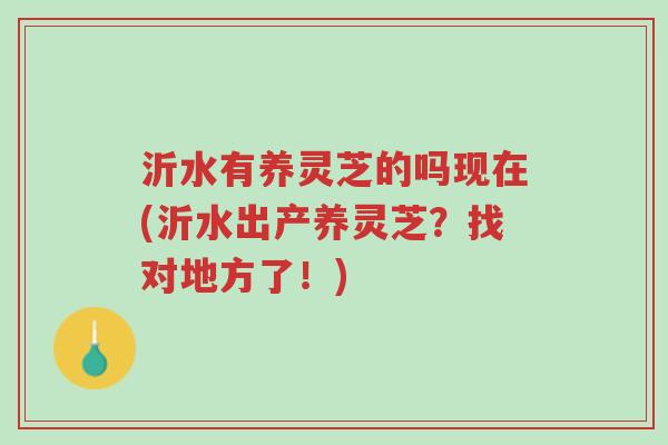 沂水有养灵芝的吗现在(沂水出产养灵芝?找对地方了!)-第1张图片-超越 沂水有养灵芝的吗现在(沂水出产养灵芝?找对地方了!)-第1张图片-超越