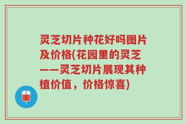 灵芝切片种花好吗图片及价格(花园里的灵芝——灵芝切片展现其种植价值,价格惊喜)-第1张图片-超越 灵芝切片种花好吗图片及价格(花园里的灵芝——灵芝切片展现其种植价值,价格惊喜)-第1张图片-超越